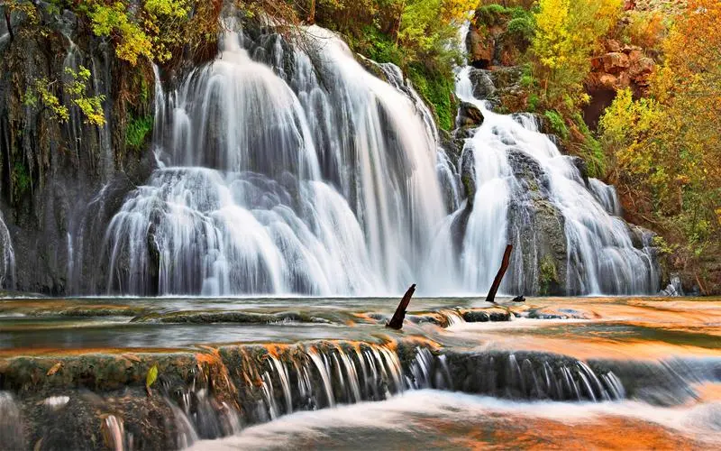 信息化全自动